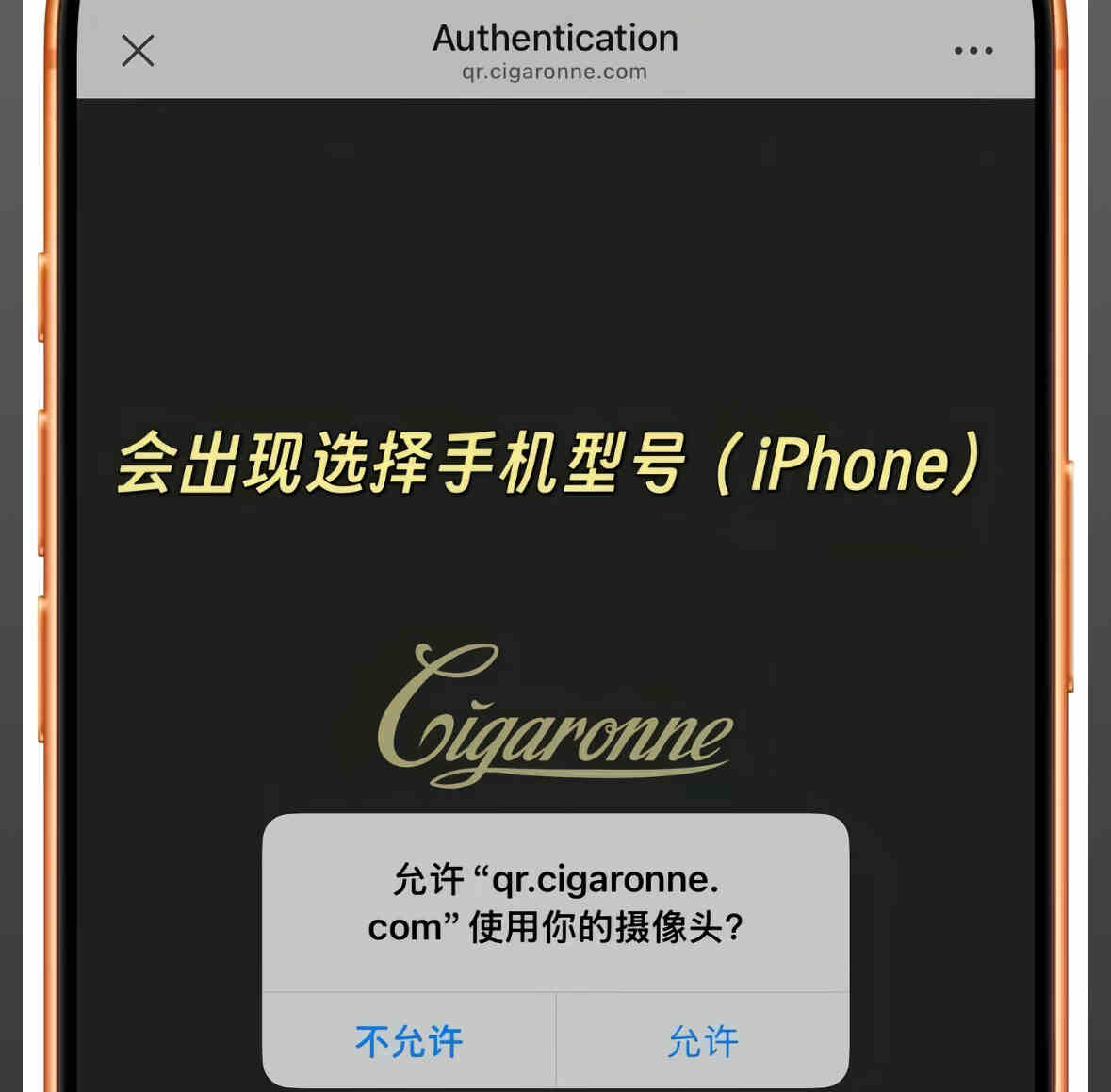 卡比龙正品核验界面